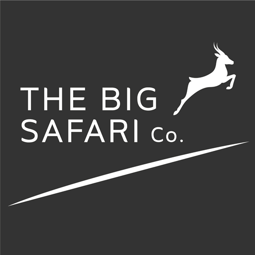 big safari company
